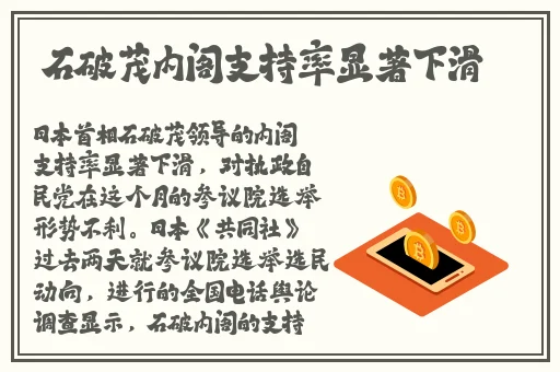 整篇都是车的多肉1V4